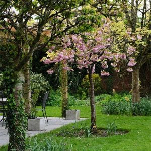 Gin-and-Jazz-Pergola-2