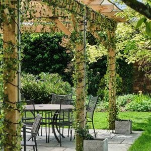 Gin-and-Jazz-Pergola