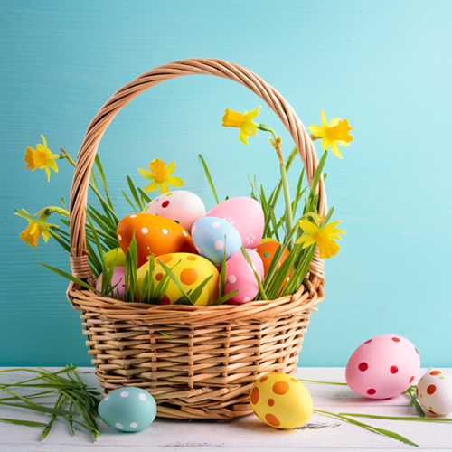 Easter eggs and Daffodils in a basket