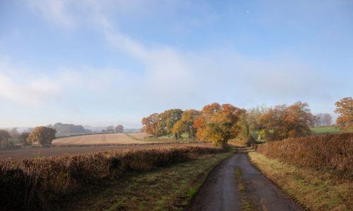 Walking along a Cotswolds Lane in Autumn
